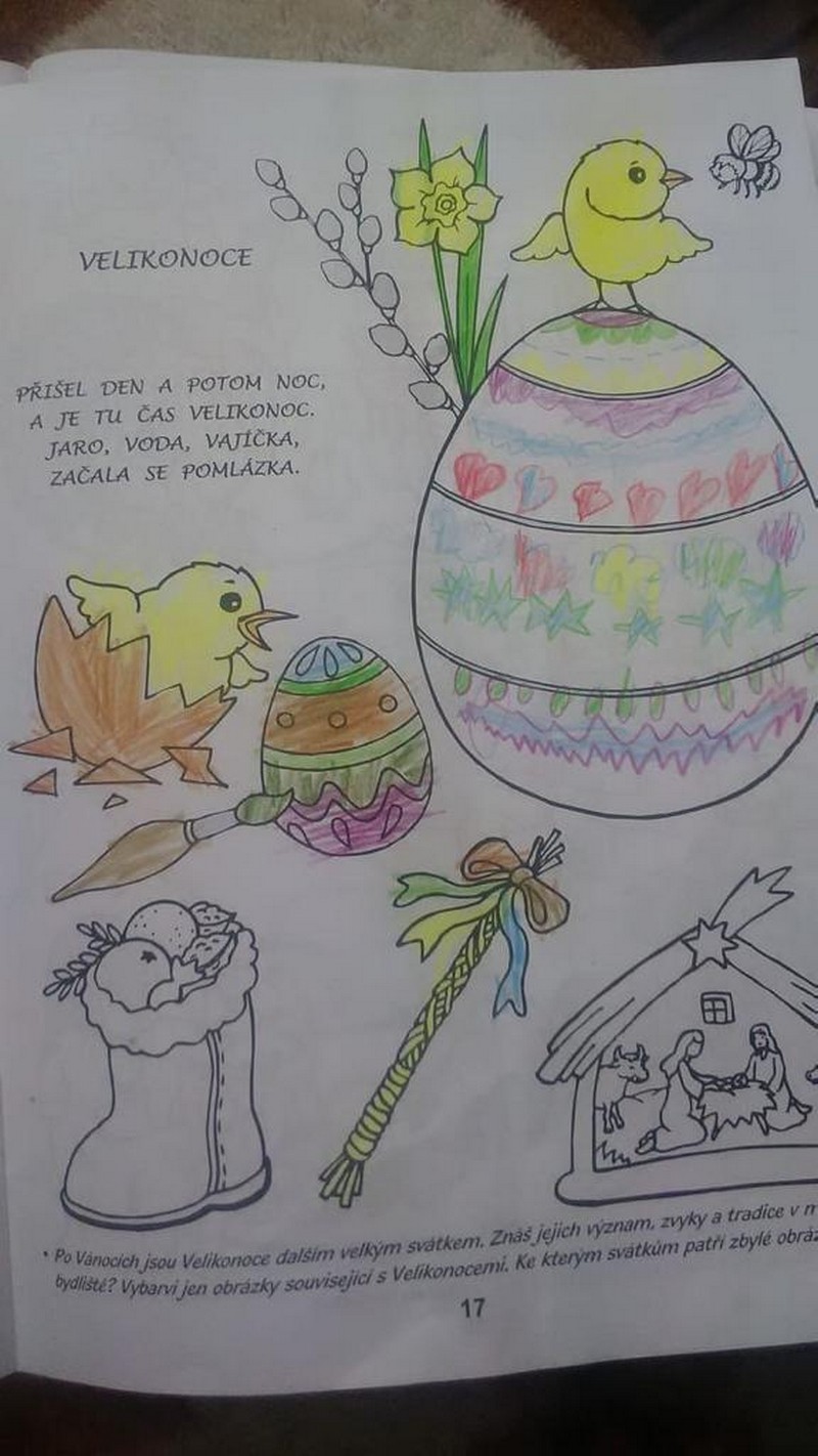ptvystavuje8
